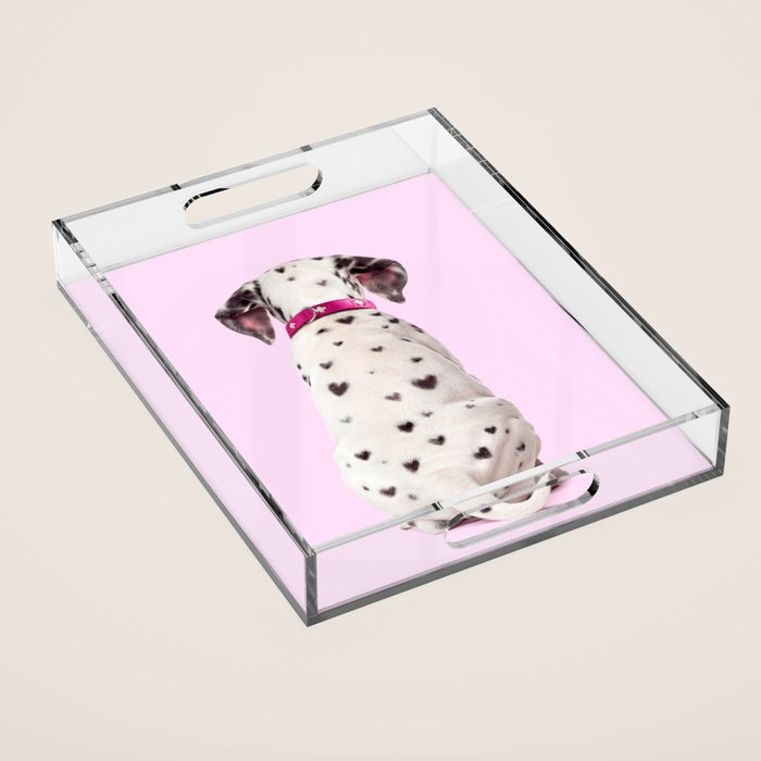 DALMATIAN Acrylic Tray Gallery Image 1