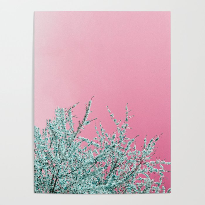 "cherry blossoms" Poster Gallery Image 1