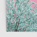 "cherry blossoms" Poster Gallery Image 3