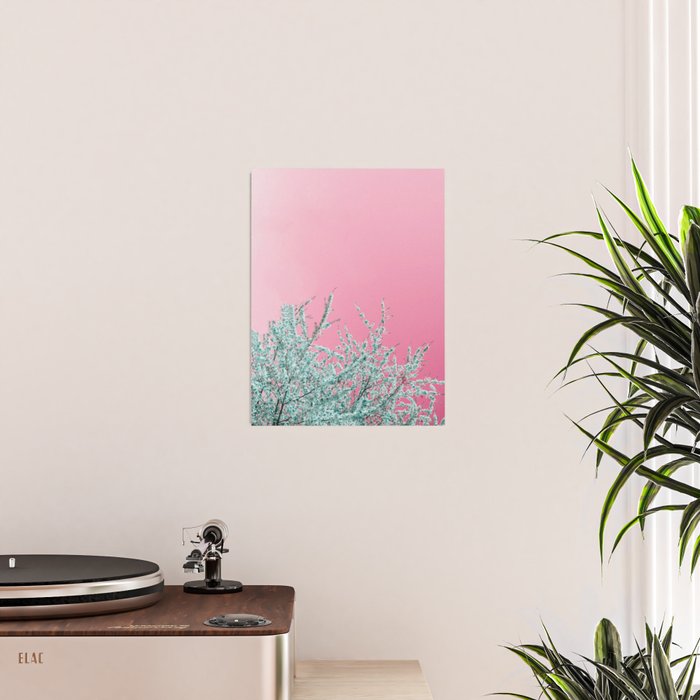 "cherry blossoms" Poster Gallery Image 2