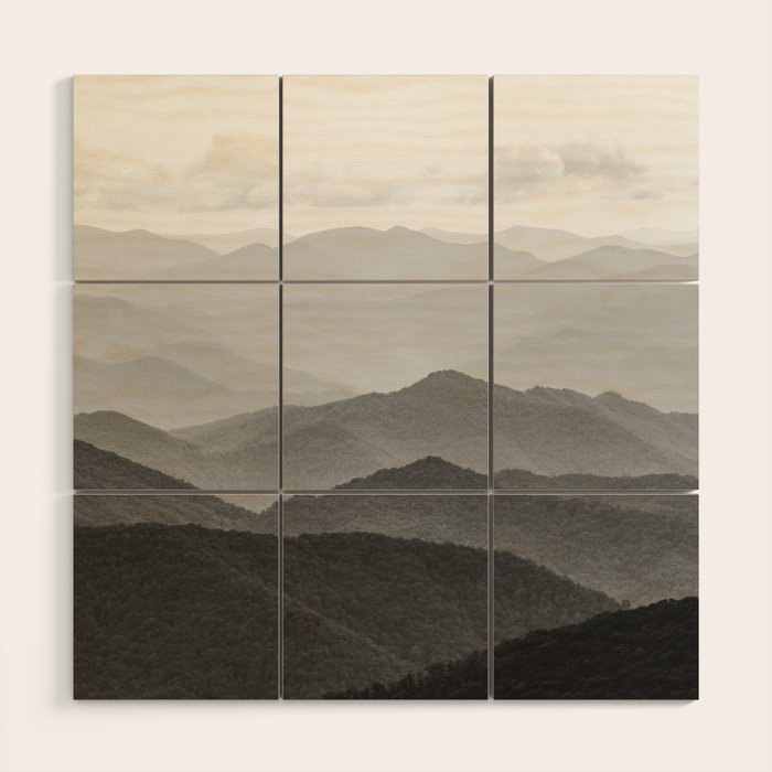 Forest Fade - Black and White Landscape Nature Photography Wood Wall Art Gallery Image 1