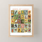 Birds of Hawaii Mini Art Print Gallery Image 1