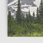 Mount Rainier National Park Poster Gallery Image 3
