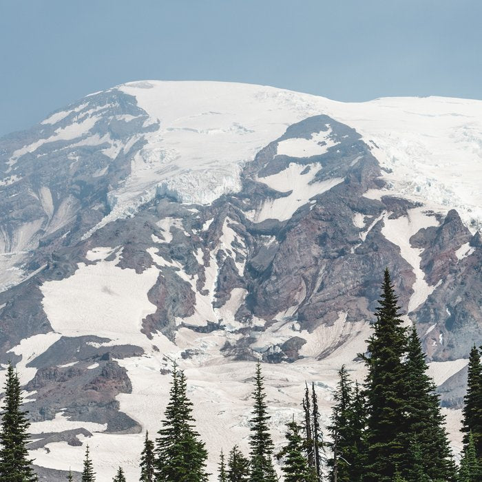 Mount Rainier National Park Coffee Mug Gallery Image 2