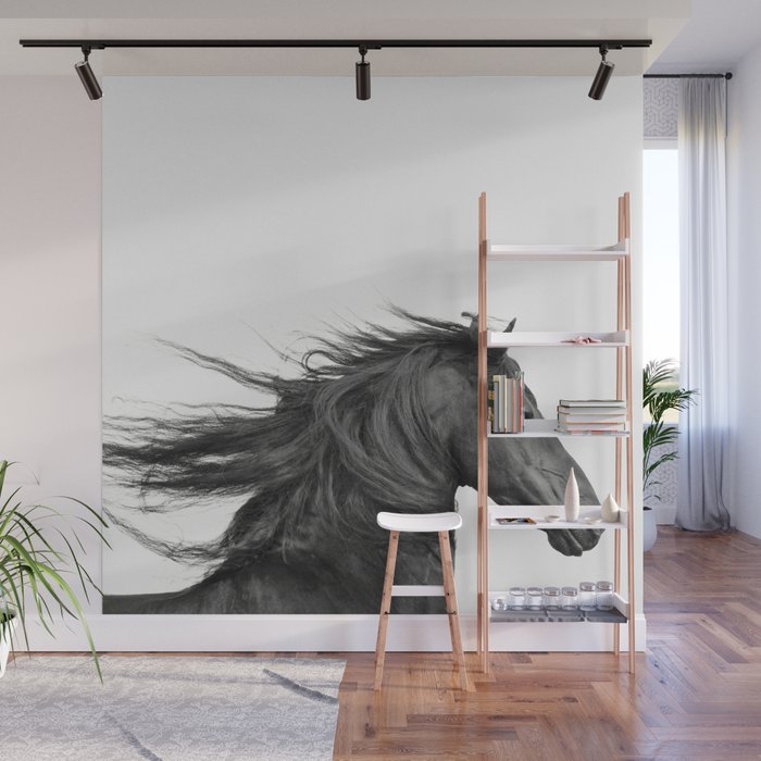 Wild Horse, Black and White Photography Wall Mural Gallery Image 1