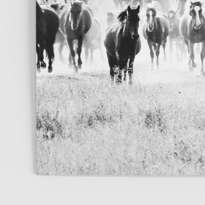 southwest cowboy horse decor print Poster Gallery Image 3