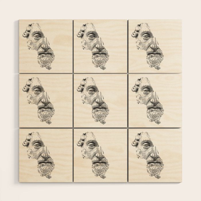 MARCUS AURELIUS ANTONINUS AUGUSTUS / black / white Wood Wall Art Gallery Image 1