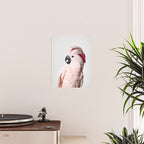 Pink Cockatoo Poster Gallery Image 2