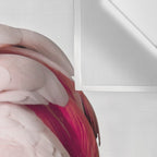 Pink Cockatoo Wall Tapestry Gallery Image 3