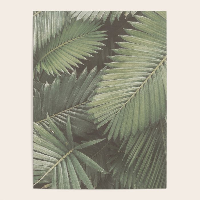 Tropical Leaves Poster Gallery Image 1