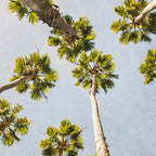 That Cali Life Coffee Mug Gallery Image 2