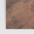 Old Tan Faux Leather Texture Poster Gallery Image 3