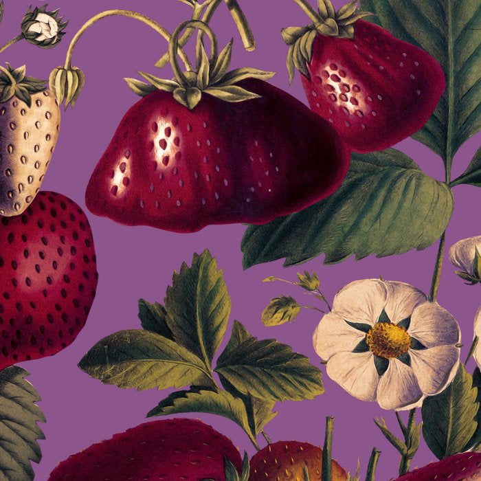 Strawberry Fields Forever VI Coffee Mug Gallery Image 2