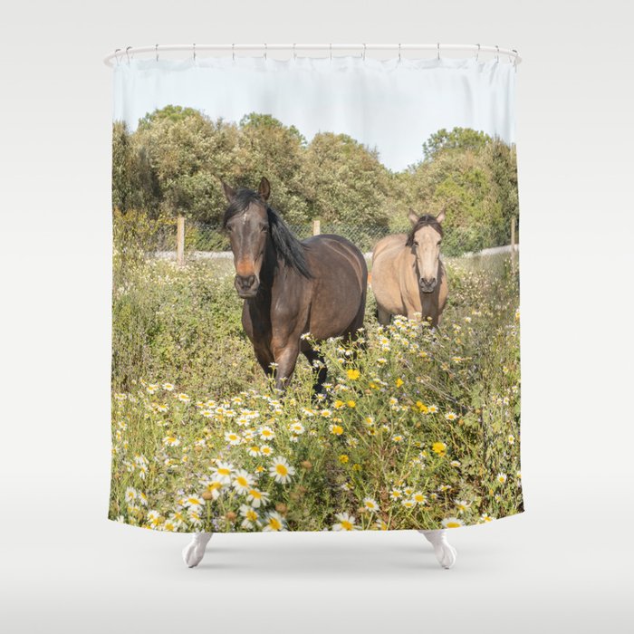 Horses in a Field of Wildflowers | Portugal Travel Art Print | Animal Photography in Europe Shower Curtain Gallery Image 1