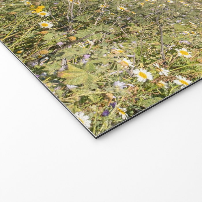 Horses in a Field of Wildflowers | Portugal Travel Art Print | Animal Photography in Europe Welcome Mat Gallery Image 2