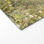Horses in a Field of Wildflowers | Portugal Travel Art Print | Animal Photography in Europe Welcome Mat Gallery Image 2