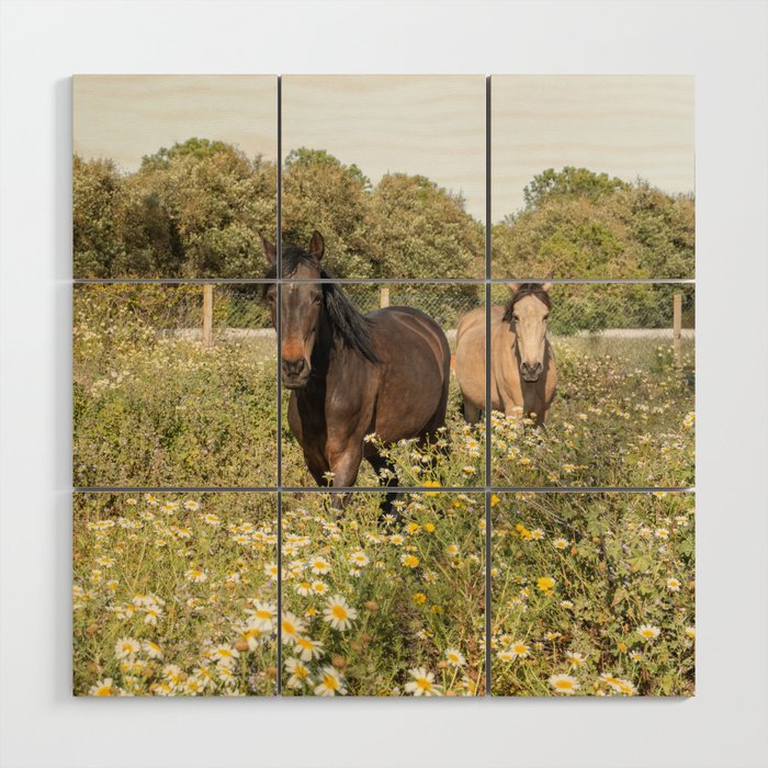 Horses in a Field of Wildflowers | Portugal Travel Art Print | Animal Photography in Europe Wood Wall Art Gallery Image 1