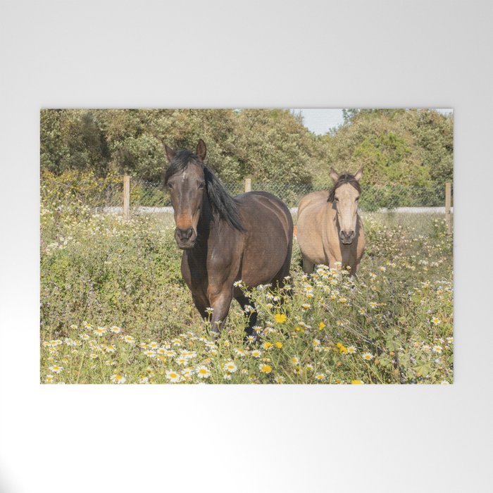 Horses in a Field of Wildflowers | Portugal Travel Art Print | Animal Photography in Europe Welcome Mat Gallery Image 1