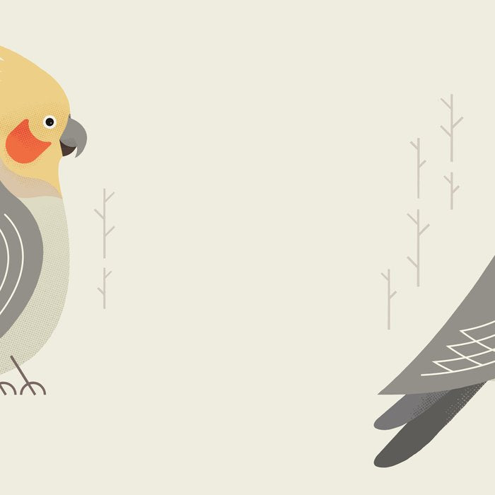 Cockatiel, Bird of Australia Coffee Mug Gallery Image 2