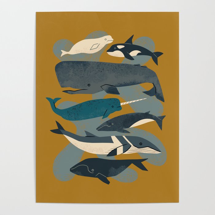 Whales Ahoy Poster Gallery Image 4
