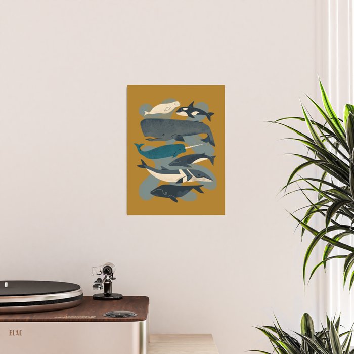 Whales Ahoy Poster Gallery Image 2
