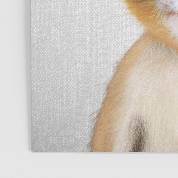 Baby Monkey - Colorful Poster Gallery Image 3