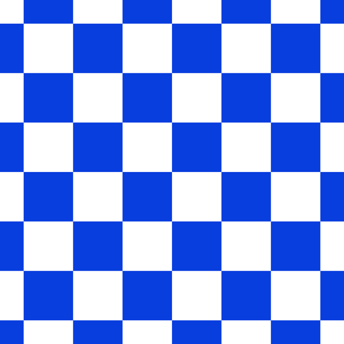 Checkerboard Check Checkered Pattern in Royal Blue and White  Coffee Mug Gallery Image 2