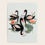 Black Swans Poster Gallery Image 4