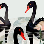 Black Swans Coffee Mug Gallery Image 2