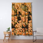 Orange Amarantis  Window Curtain Gallery Image 5