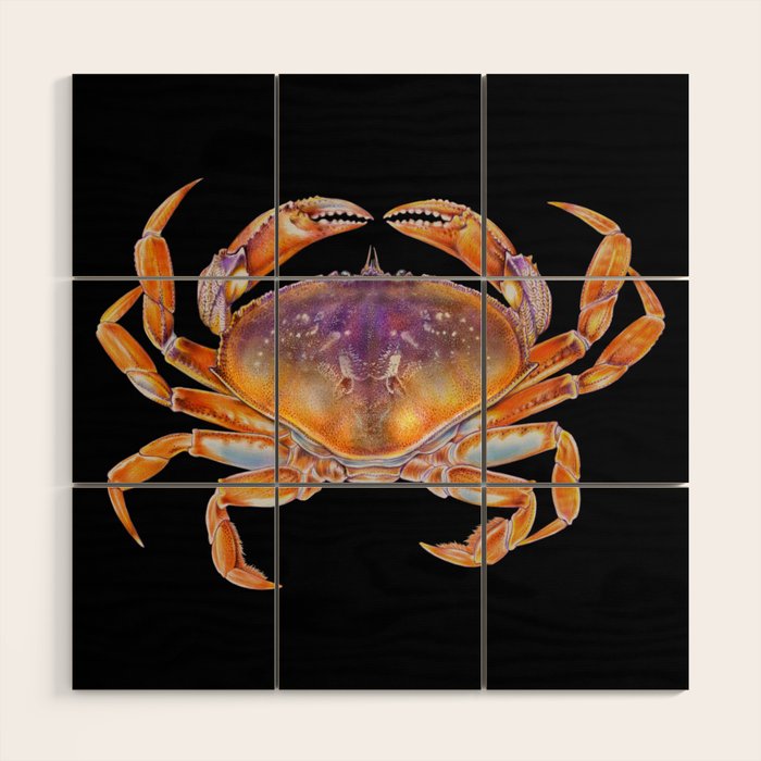 Dungeness crab Wood Wall Art Gallery Image 1