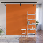 Solid Retro Orange Wall Mural Gallery Image 1