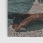 Im OFF | mermaid | tail | green | pool | swim | palm | collage | glitter | bling | tired | sunshine  Poster Gallery Image 3