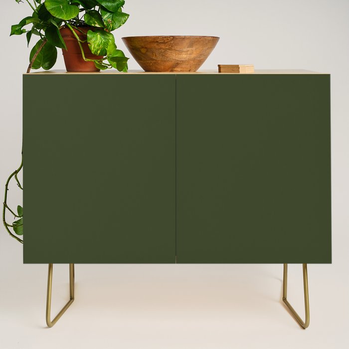 Moss Green Solid Color Credenza Gallery Image 1