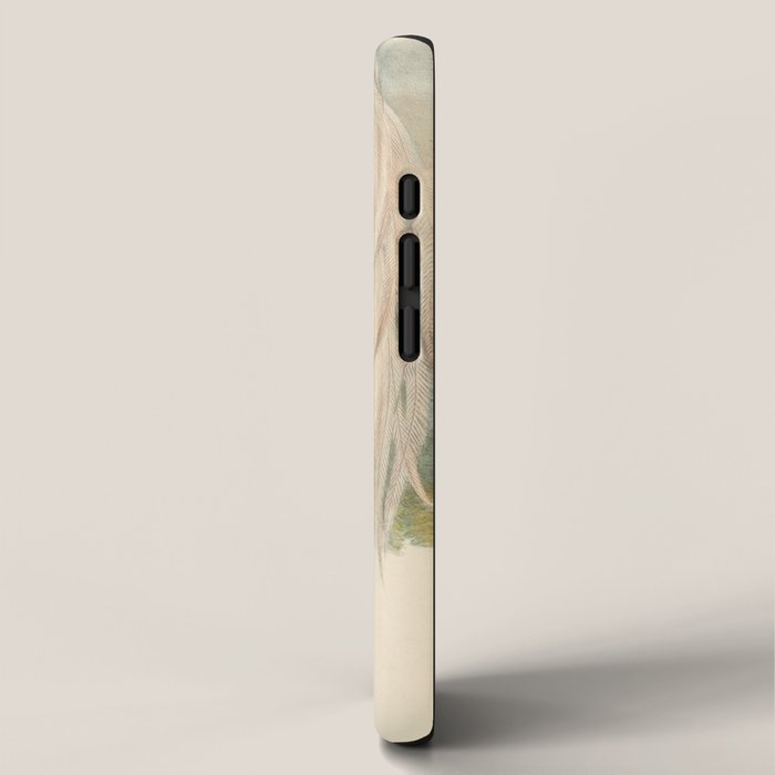 Birds-of-paradise (Paradisea Papuana) by John Gould, 1875-1888 (benefitting the Nature Conservancy) iPhone Case Gallery Image 2
