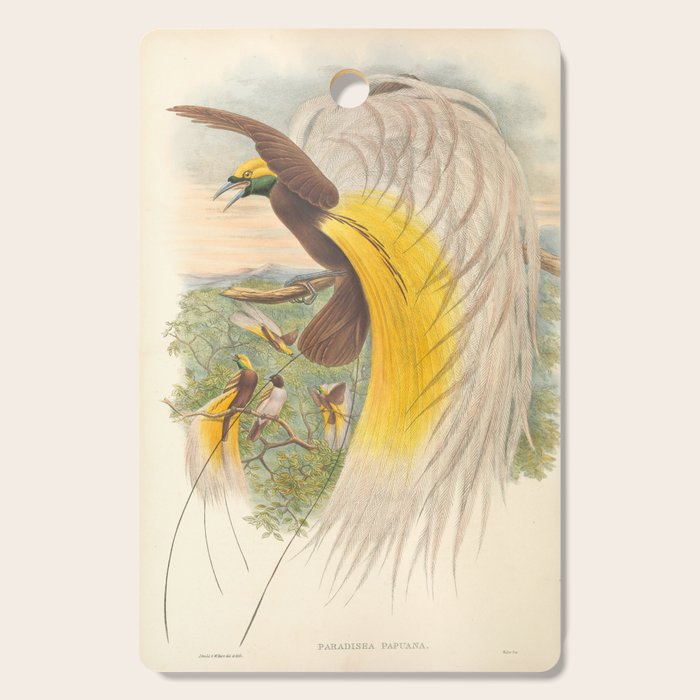 Birds-of-paradise (Paradisea Papuana) by John Gould, 1875-1888 (benefitting the Nature Conservancy) Cutting Board Gallery Image 1