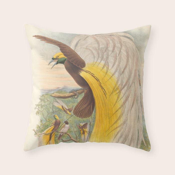 Birds-of-paradise (Paradisea Papuana) by John Gould, 1875-1888 (benefitting the Nature Conservancy) Throw Pillow Gallery Image 6
