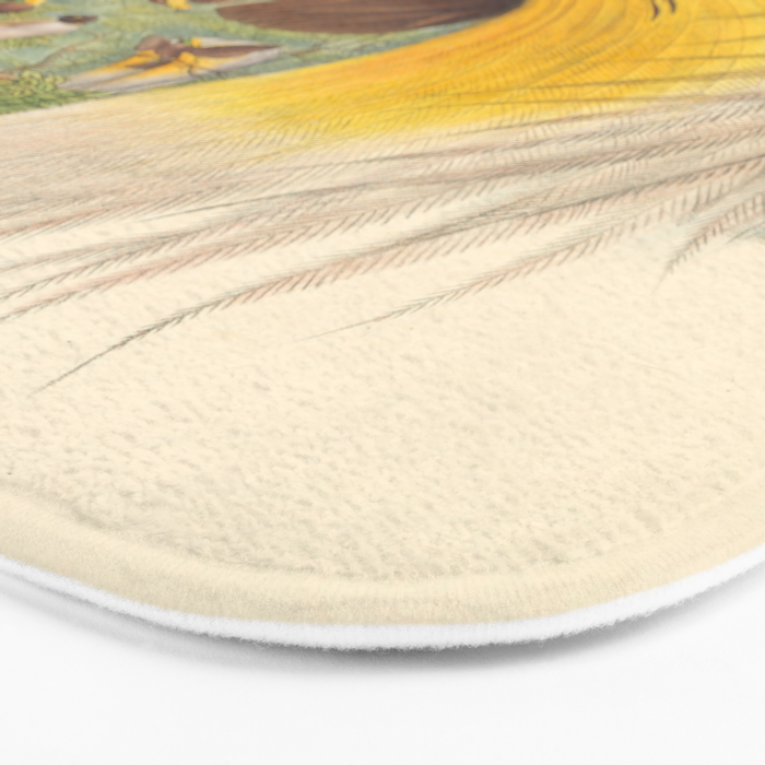 Birds-of-paradise (Paradisea Papuana) by John Gould, 1875-1888 (benefitting the Nature Conservancy) Bath Mat Gallery Image 3