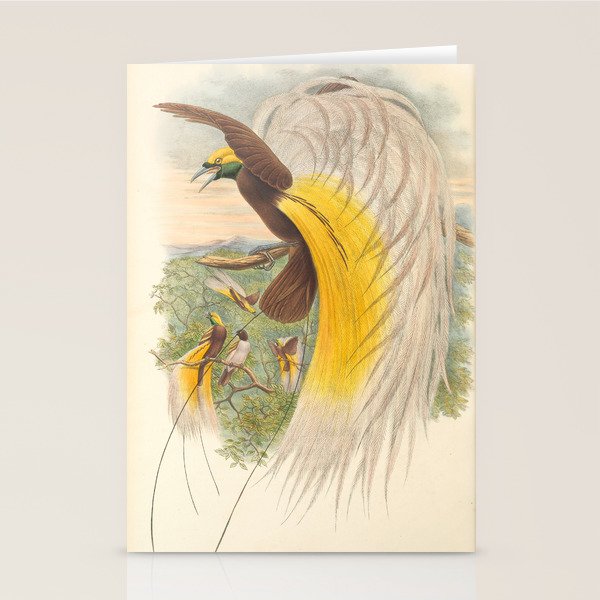 Birds-of-paradise (Paradisea Papuana) by John Gould, 1875-1888 (benefitting the Nature Conservancy) Stationery Card Gallery Image 2