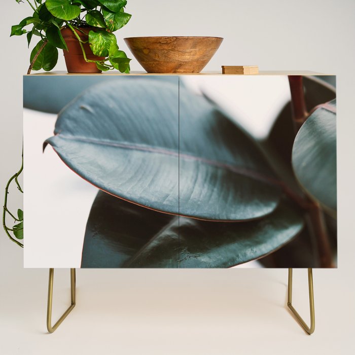 Night Ficus #3 Credenza Gallery Image 1
