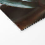Night Ficus #3 Welcome Mat Gallery Image 2