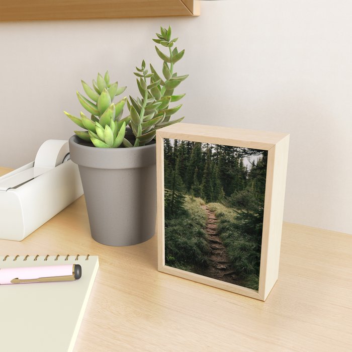 Forest Trail III Mini Art Print Gallery Image 2