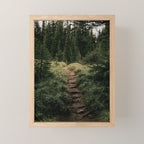 Forest Trail III Mini Art Print Gallery Image 1