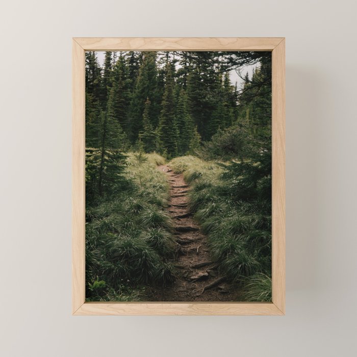 Forest Trail III Mini Art Print Gallery Image 1