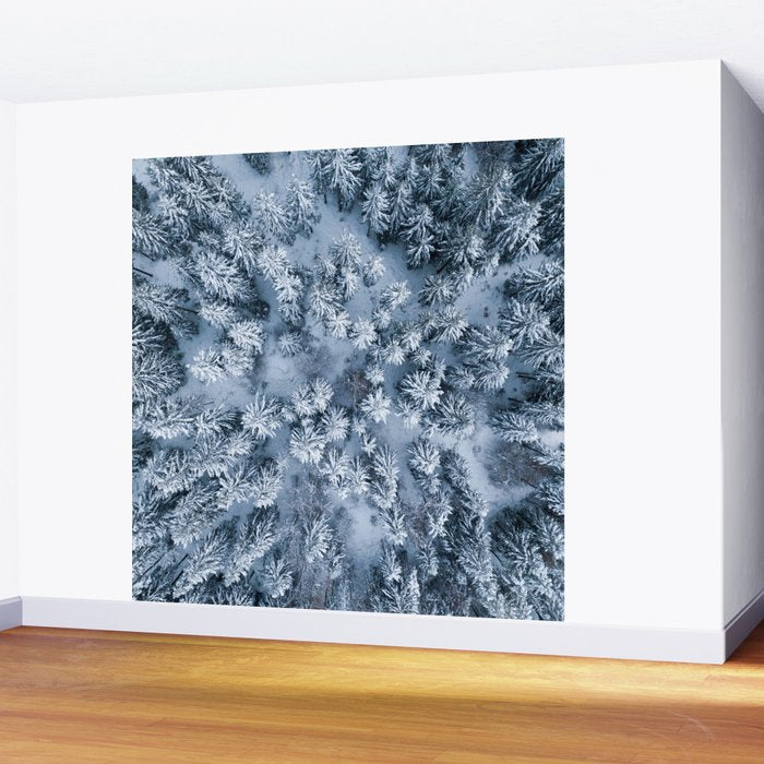 Winter Pine Forest Wall Mural Gallery Image 2