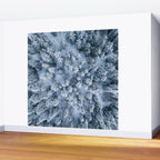 Winter Pine Forest Wall Mural Gallery Image 2
