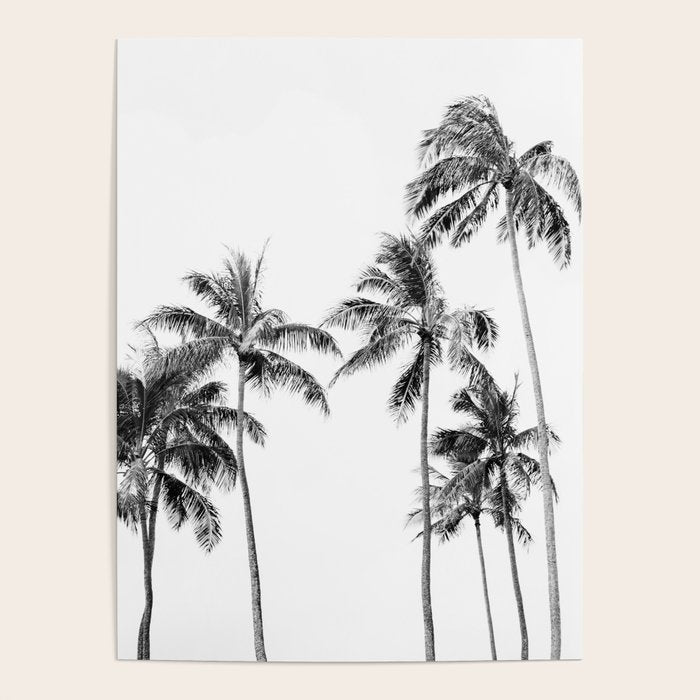 Palm Trees - Black and White Photography Poster Gallery Image 4