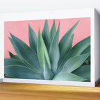 Agave succulent Wall Mural Gallery Image 2