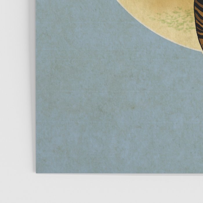 Tiger with magpie type-C : Minhwa-Korean traditional/folk art Poster Gallery Image 3
