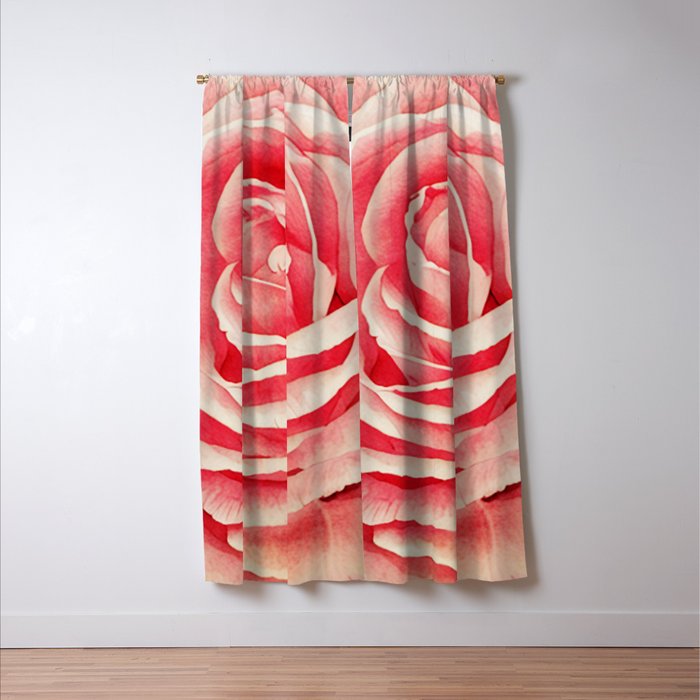 Close up pink rose Window Curtain Gallery Image 3